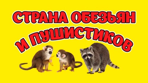 Обезьяны и пушистики ульяновск. Страна обезьян и пушистиков. Зоопарк во Владимире ТЦ Меридиан. Мир обезьян и "пушистиков" Волгоград. Страна обезьян и пушистиков Невьянск.